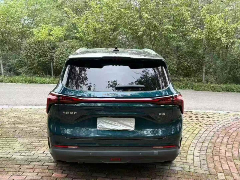 枣庄23年东风风行9