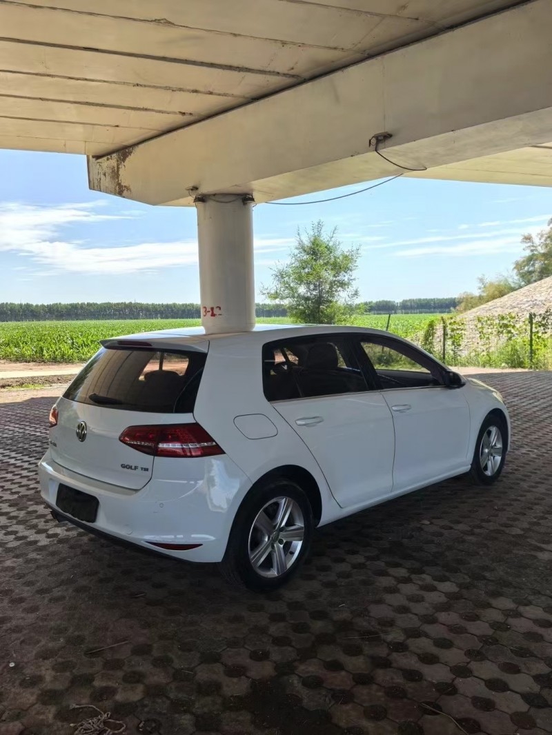 松原15年大众高尔夫7