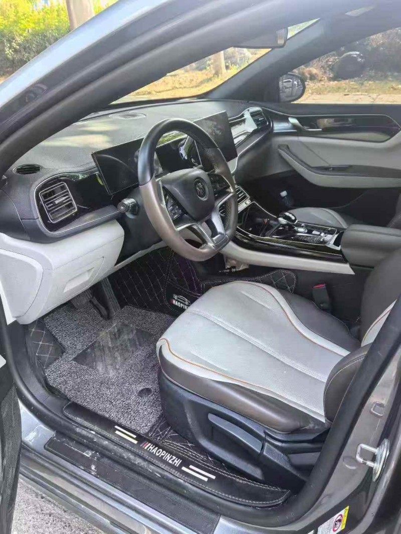 鄂州24年比亚迪秦5