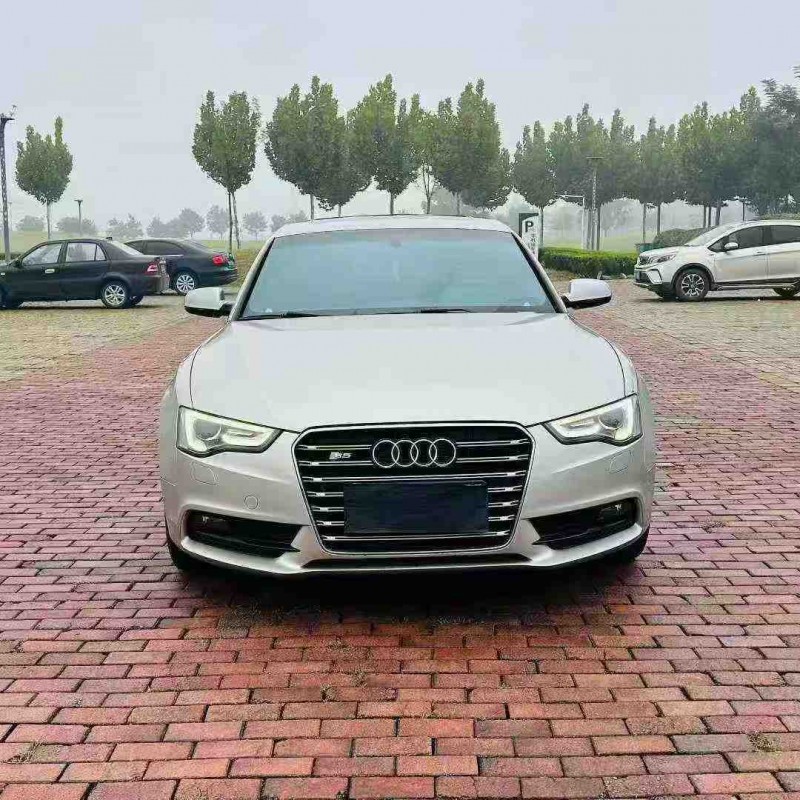 聊城14年奥迪A51