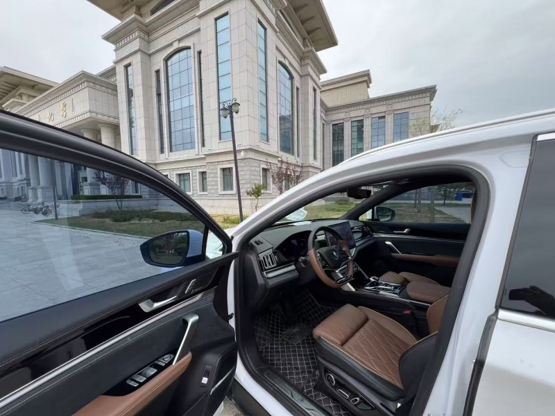 沧州22年比亚迪唐7