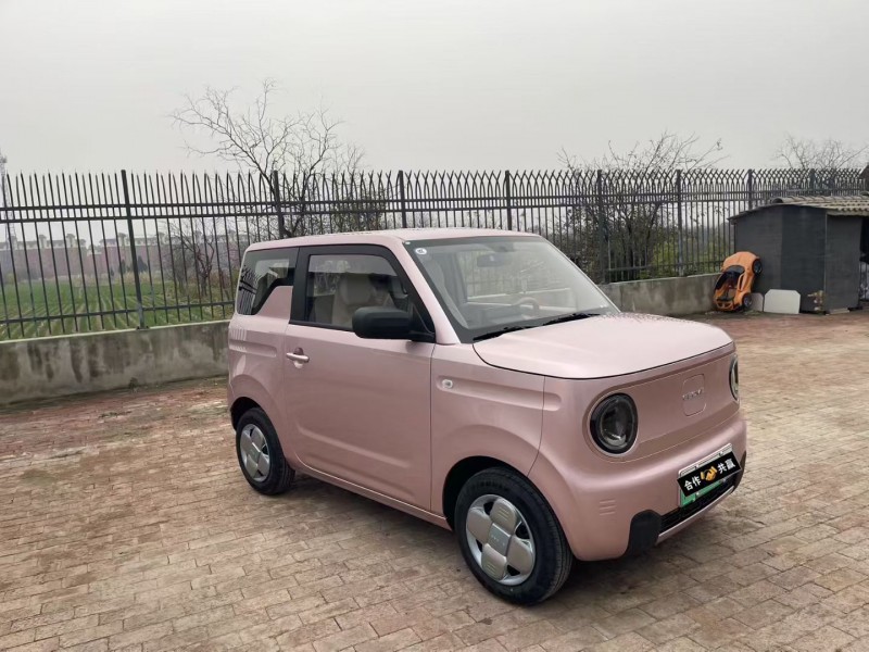 沧州24年吉利熊猫3