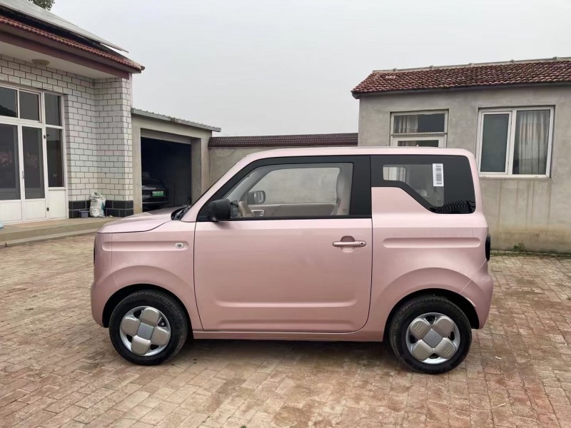 沧州24年吉利熊猫4