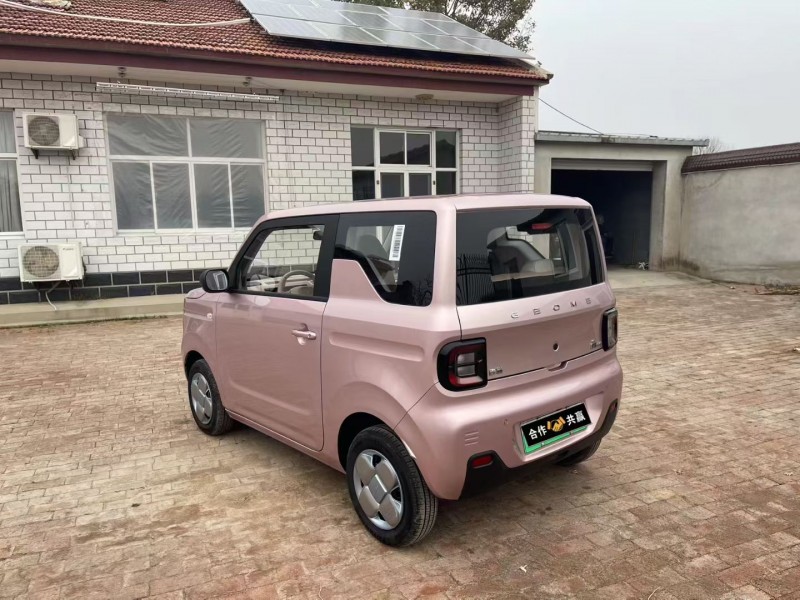 沧州24年吉利熊猫5