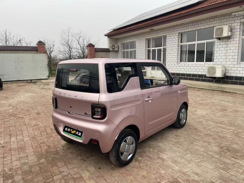 沧州24年吉利熊猫6