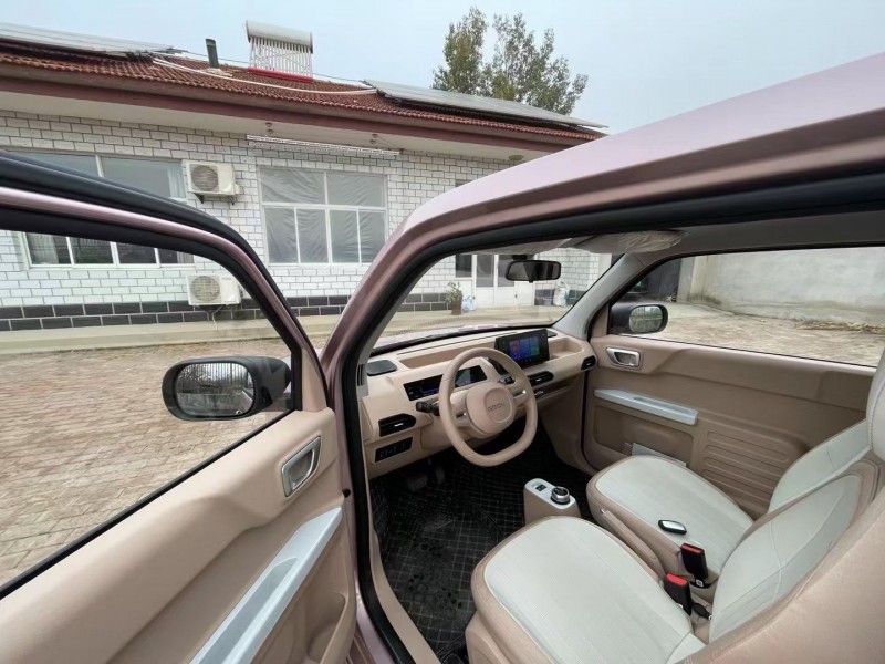 沧州24年吉利熊猫7