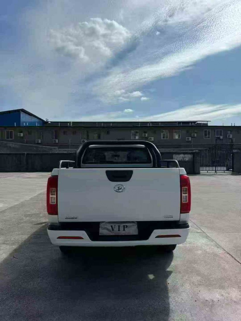 梧州23年长城汽车炮 皮卡9