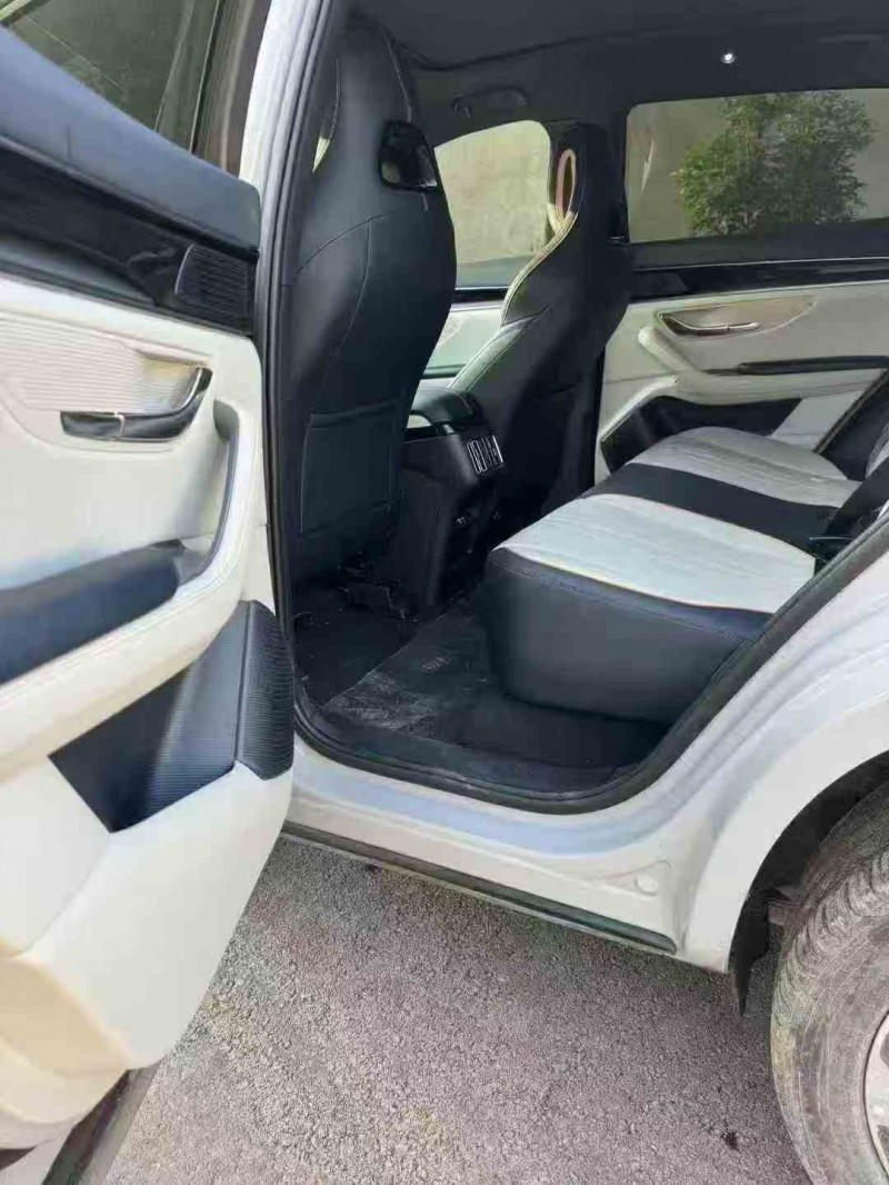 芜湖24年比亚迪宋6