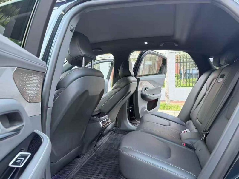 新余23年极狐汽车阿尔法6