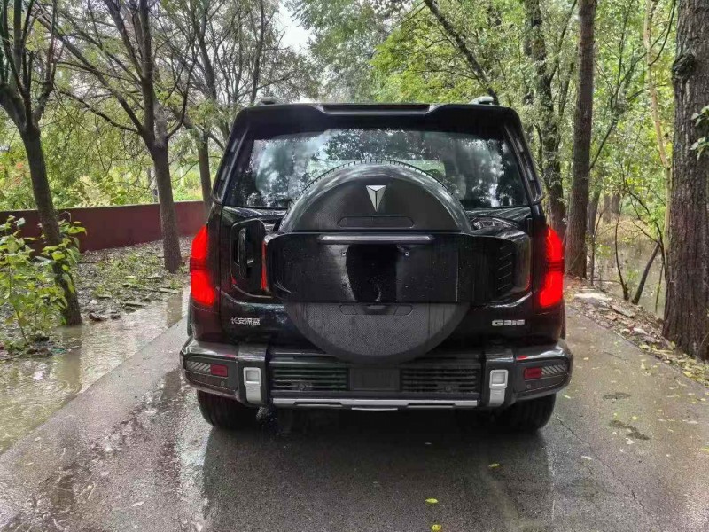 邯郸25年长安汽车深蓝9