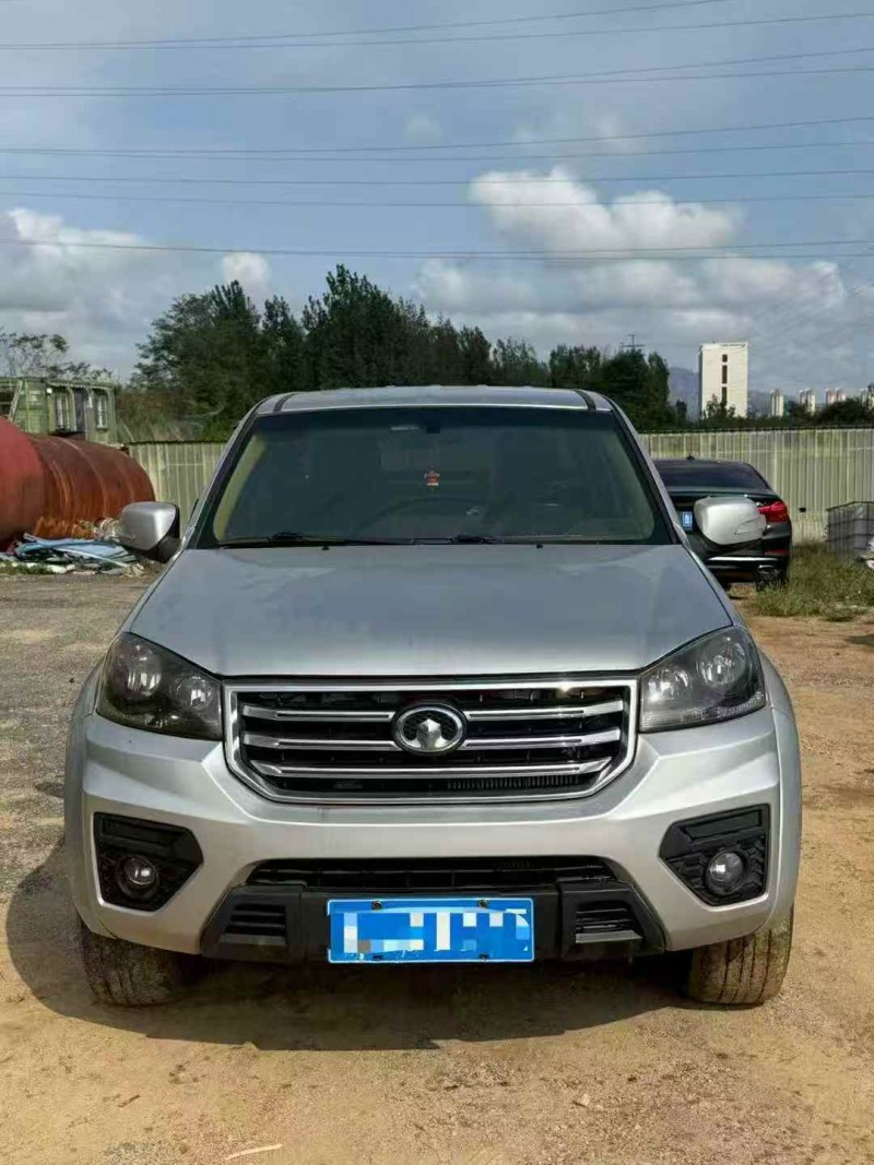 淄博18年长城汽车风骏1