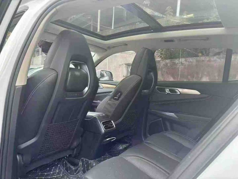 濮阳19年领克015