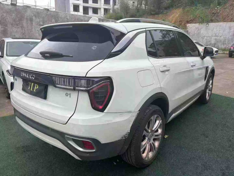 濮阳19年领克019