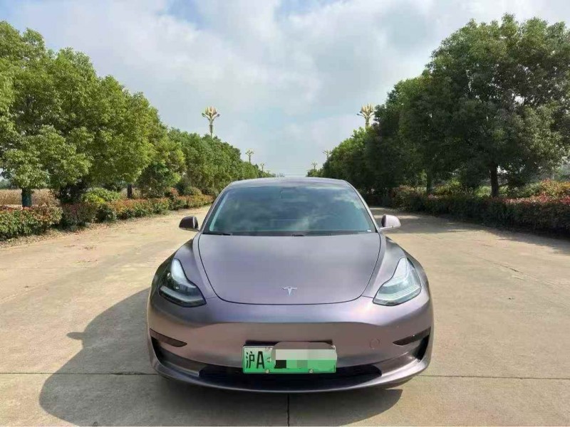盐城21年特斯拉MODEL 31