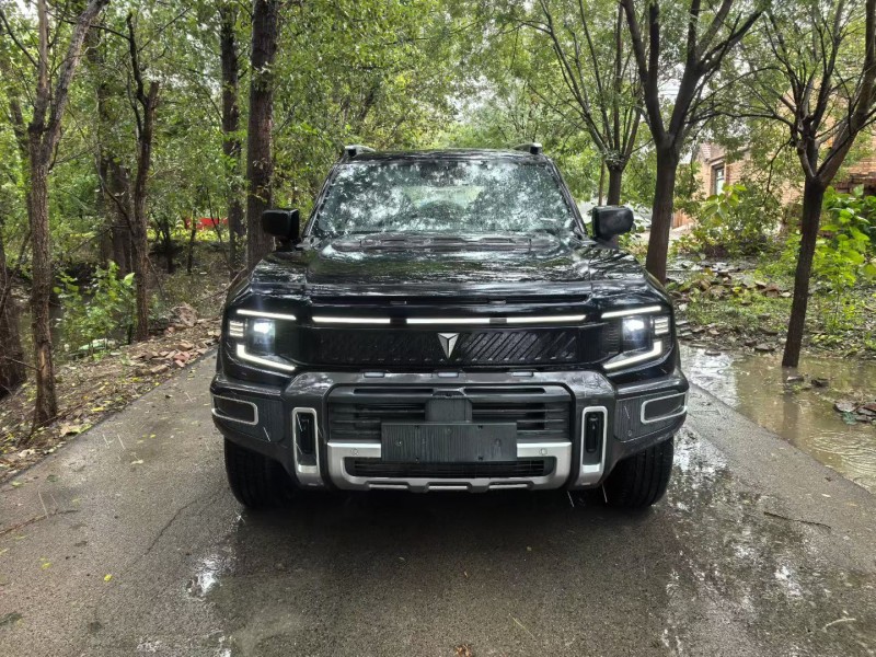 沧州25年长安汽车深蓝1