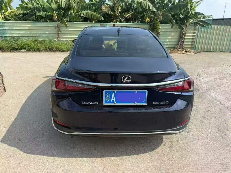 广州20年雷克萨斯ES9