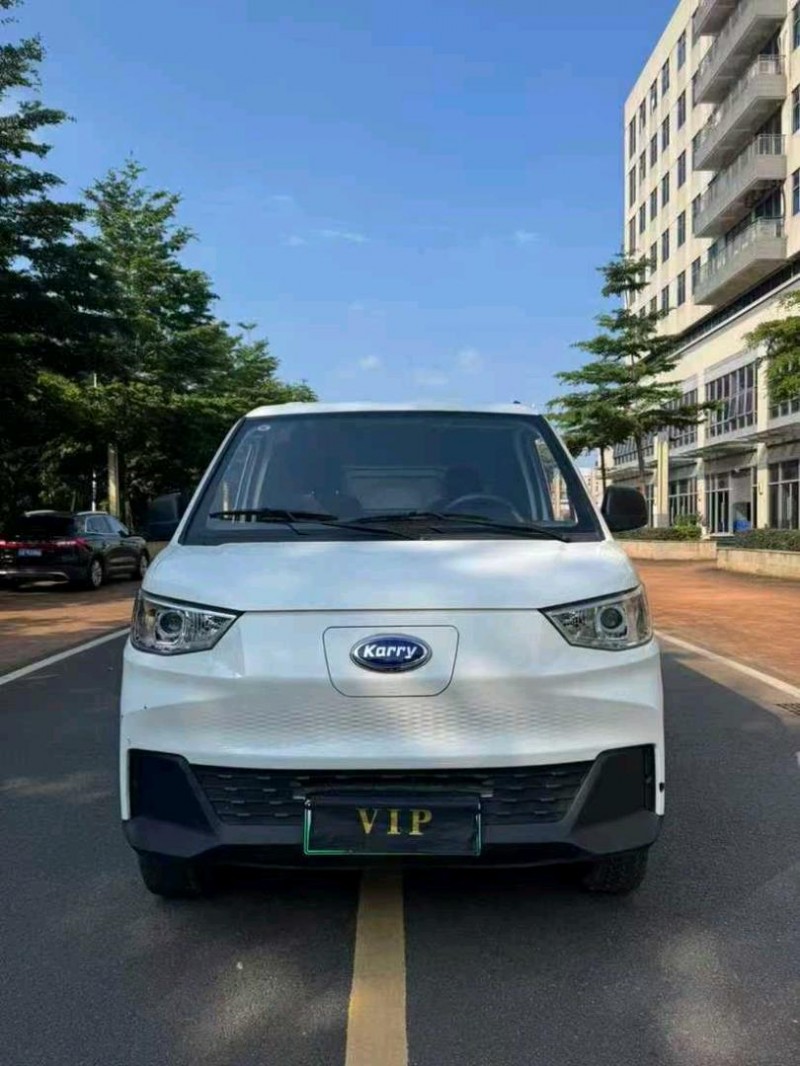 东莞23年开瑞江豚1