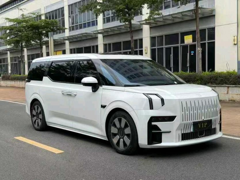 东莞24年极氪汽车0093