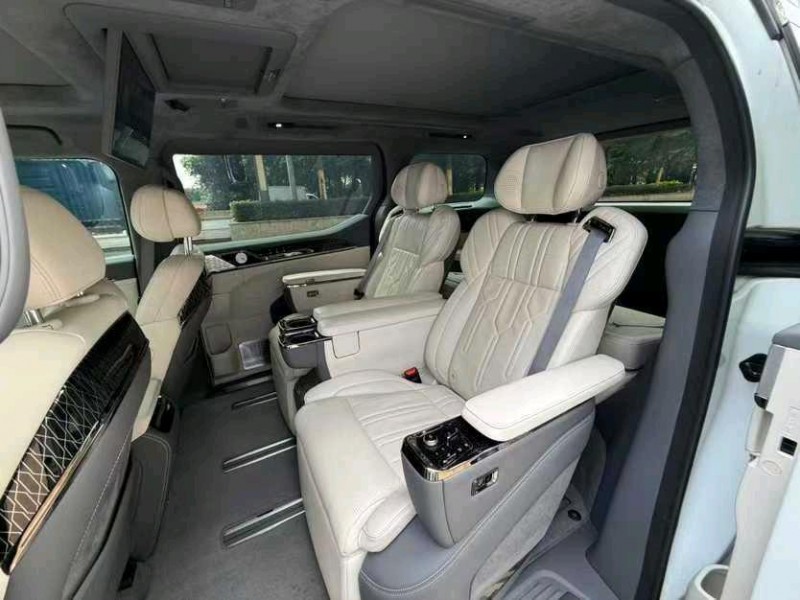 东莞24年极氪汽车0096