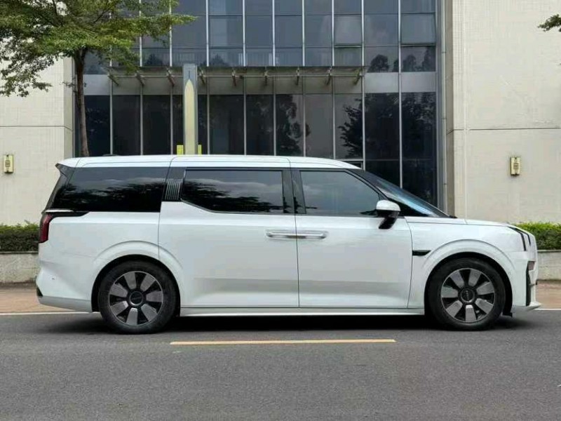 东莞24年极氪汽车0098