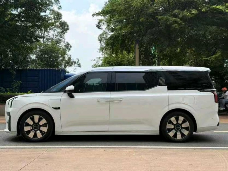 东莞24年极氪汽车0099