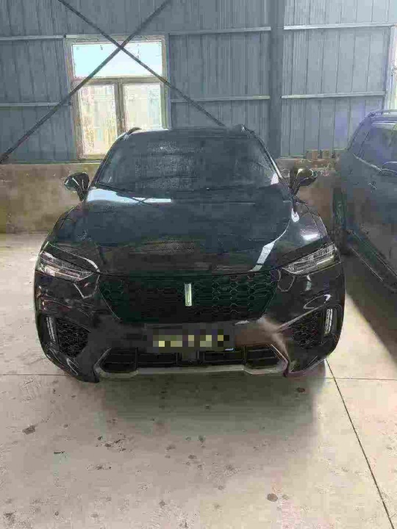 天津18年长城汽车魏牌1