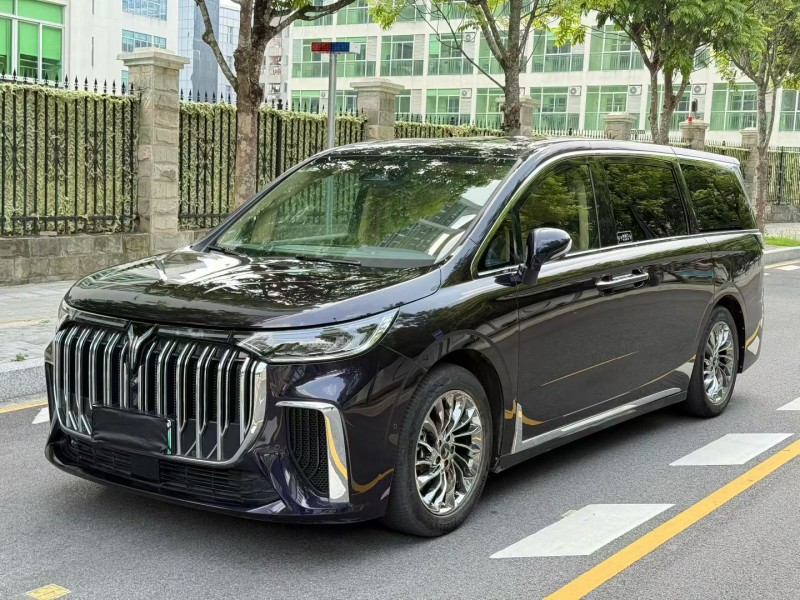 深圳23年岚图汽车梦想家3