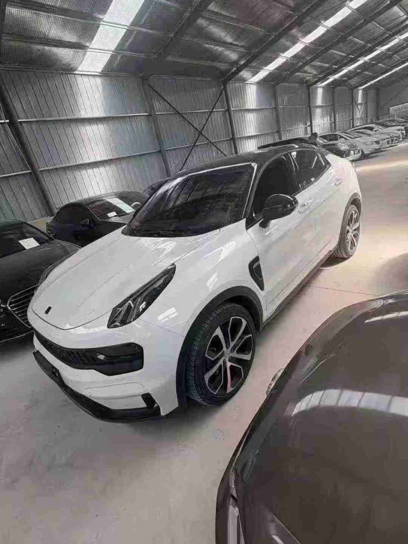 天津21年领克054