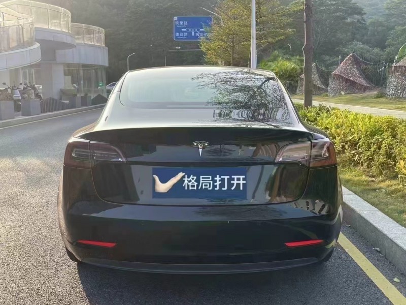 深圳20年特斯拉MODEL 39
