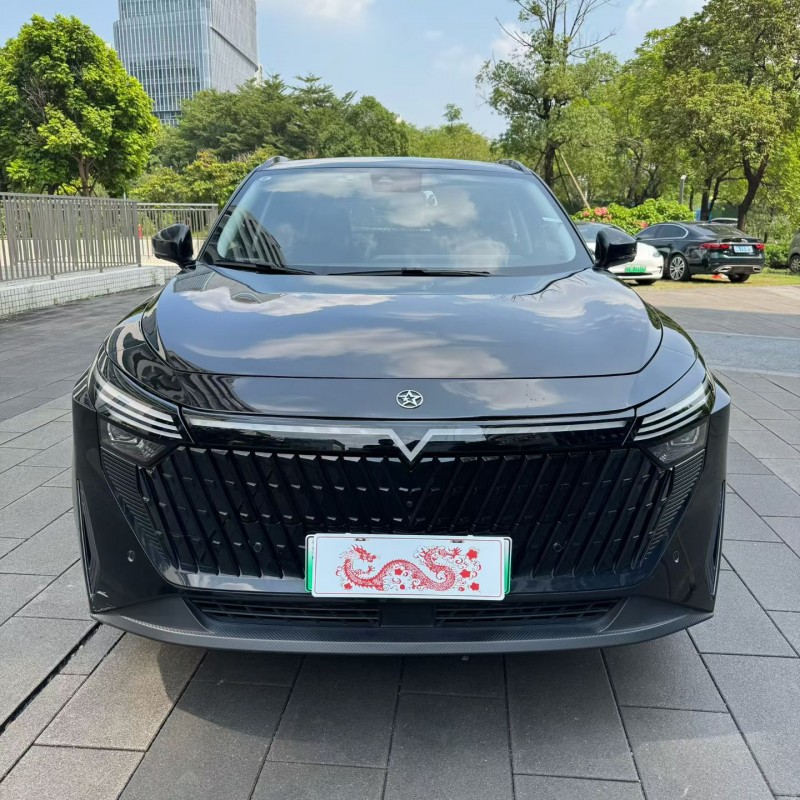 佛山24年启辰大V1