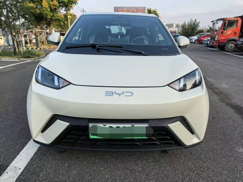 宁波25年比亚迪海鸥1