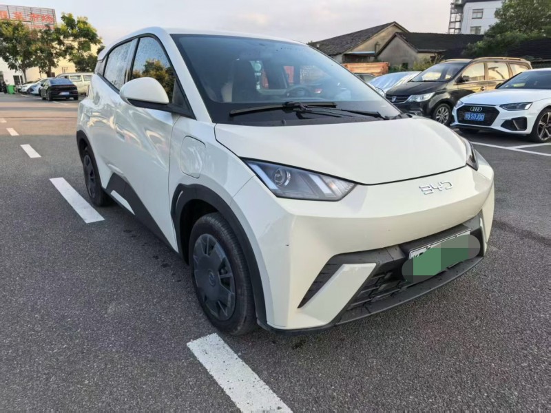 宁波25年比亚迪海鸥2