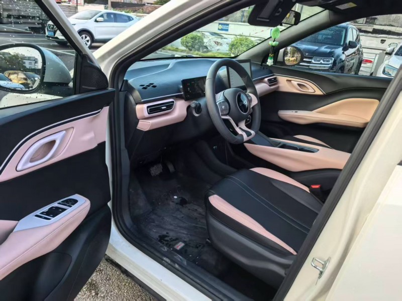 宁波25年比亚迪海鸥6