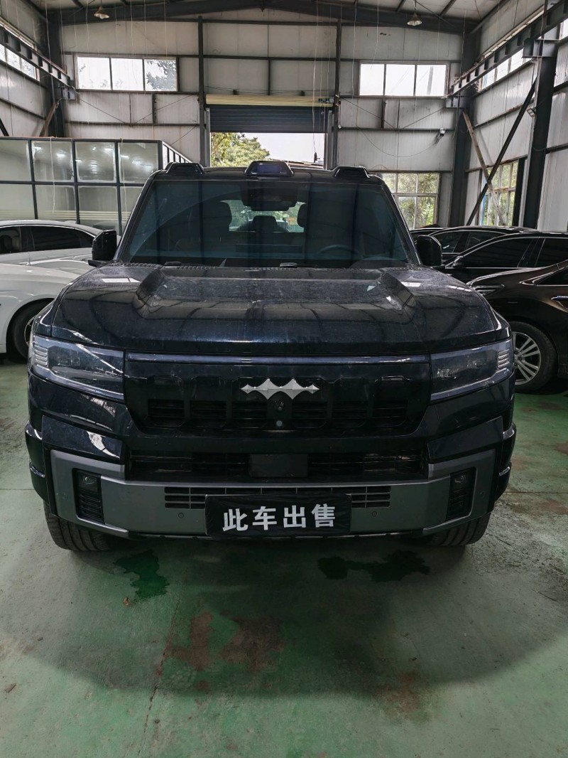 平顶山25年比亚迪方程豹1