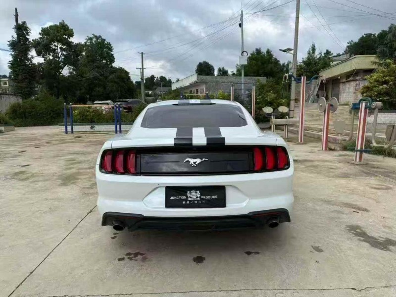 毕节20年福特野马9