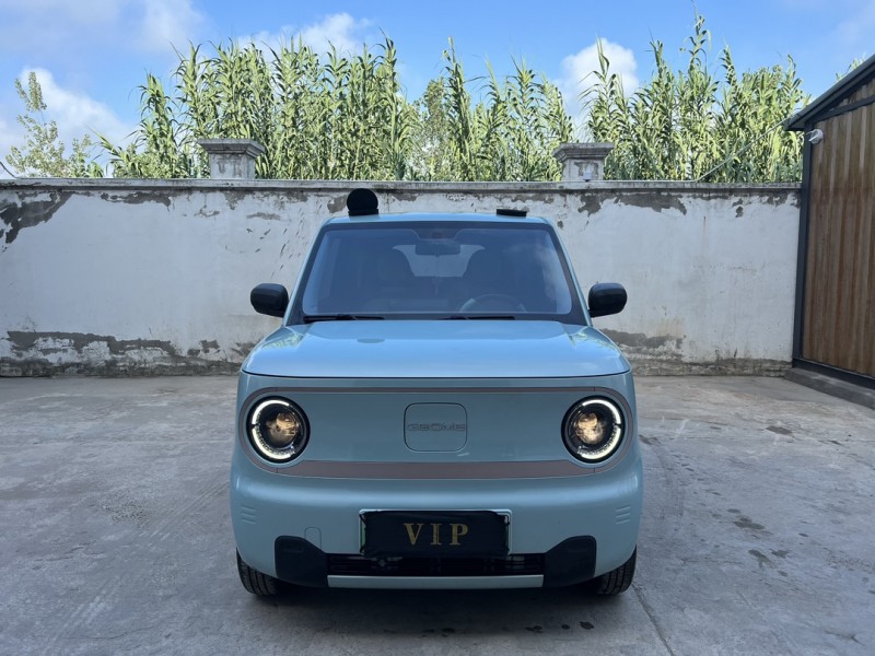 盐城23年吉利熊猫1