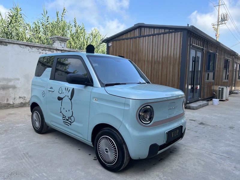 盐城23年吉利熊猫2