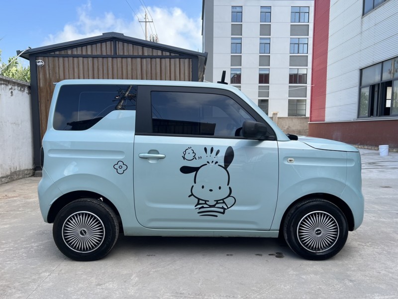 盐城23年吉利熊猫9