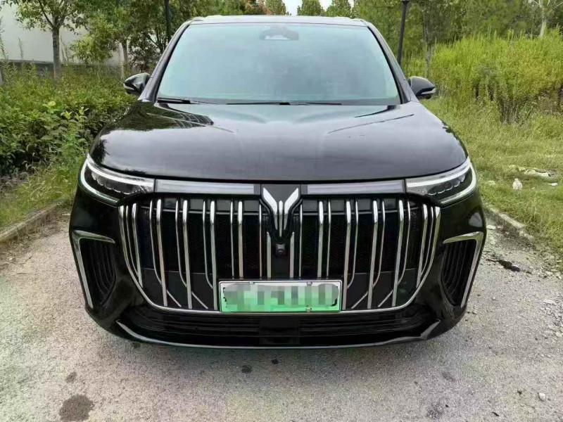 鄂州23年岚图汽车梦想家1