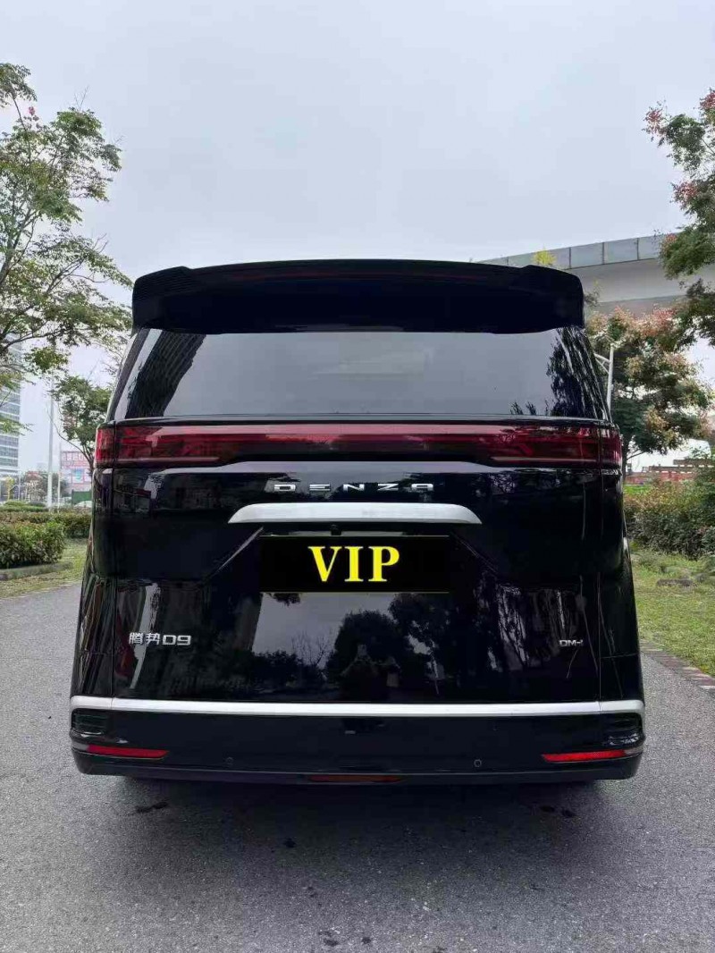 襄阳23年腾势D99