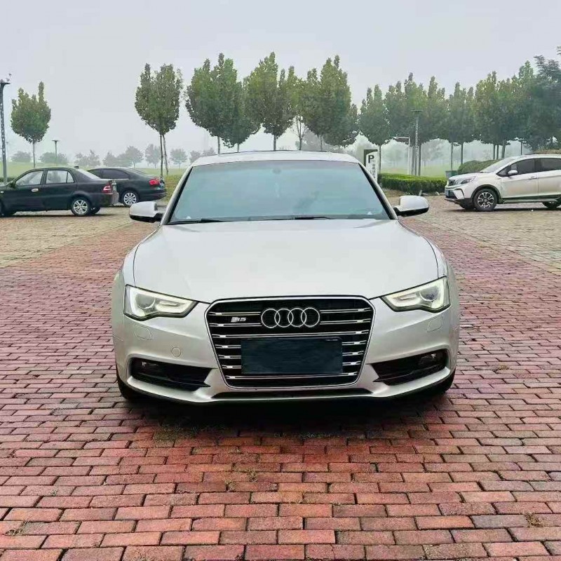 青岛14年奥迪A51