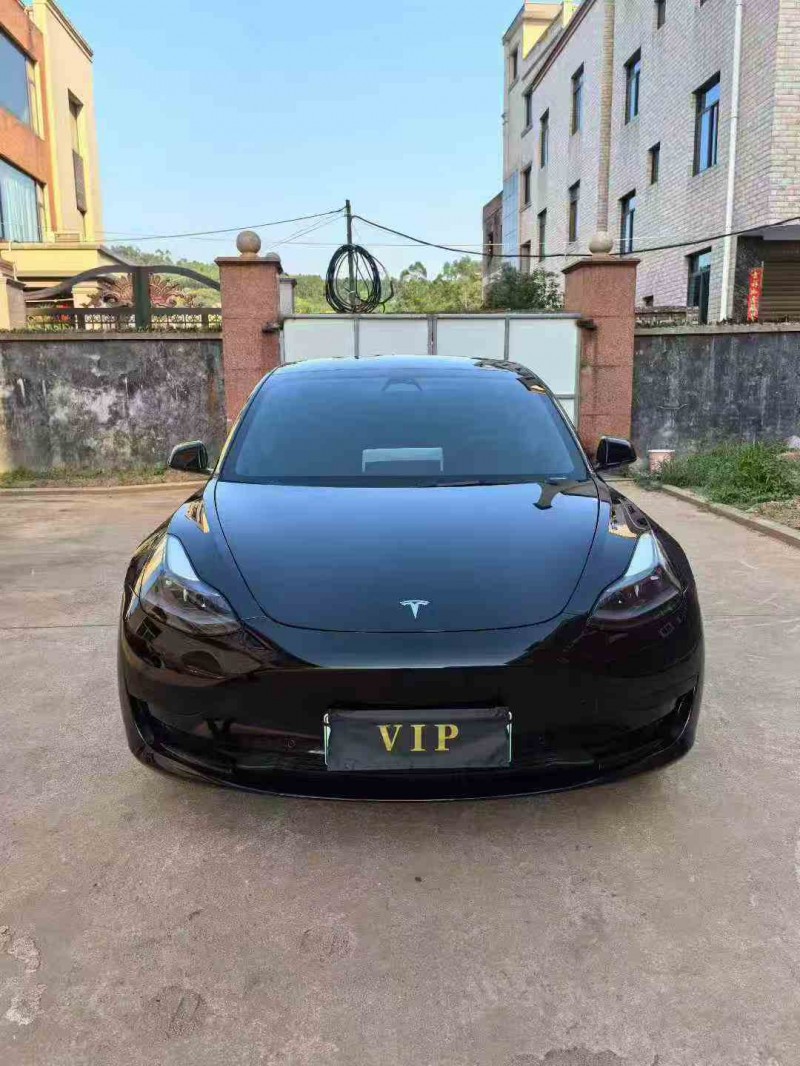 南平23年特斯拉MODEL 31