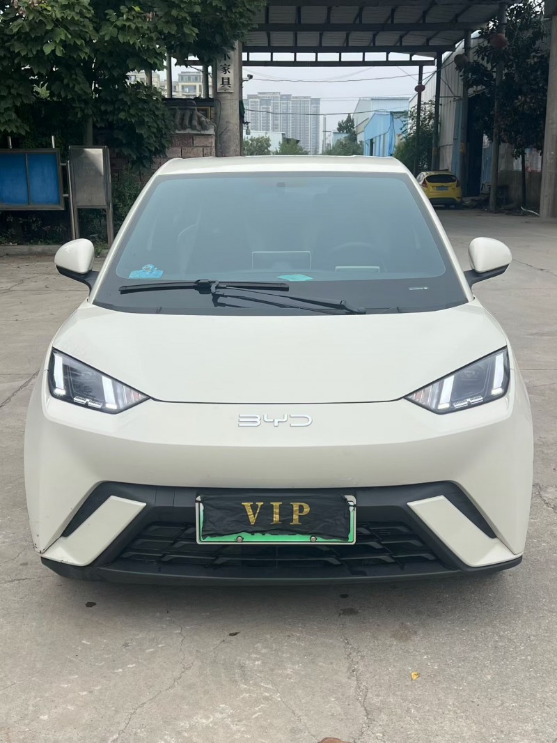 徐州25年比亚迪海鸥1