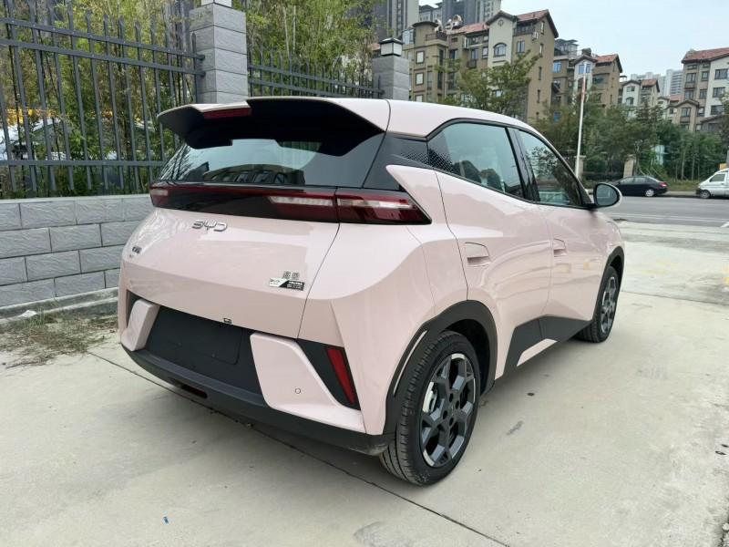 平顶山25年比亚迪海鸥9