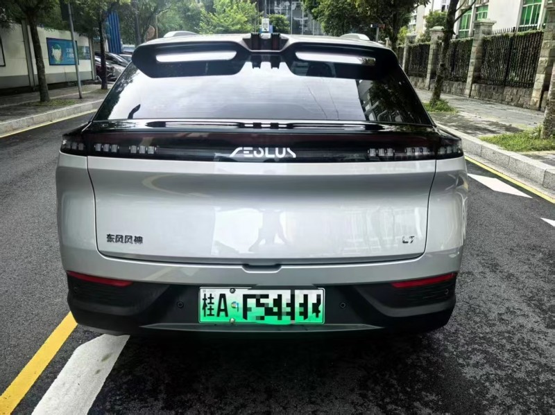 广州25年东风风神9