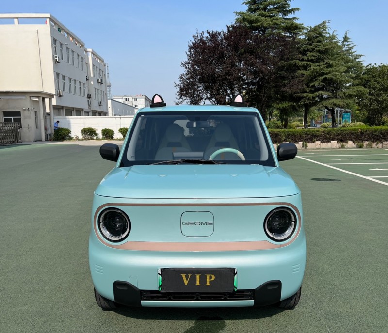 盐城24年吉利熊猫1