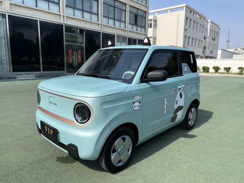 盐城24年吉利熊猫3