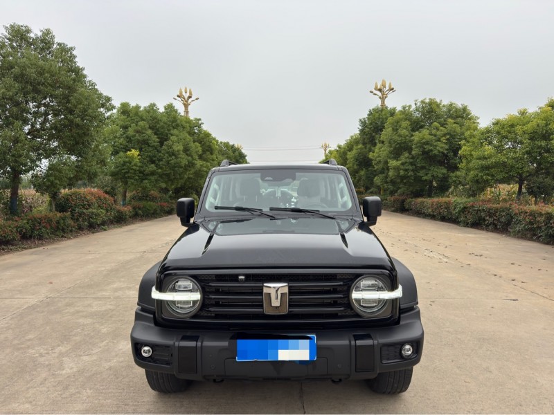 盐城24年长城汽车坦克1