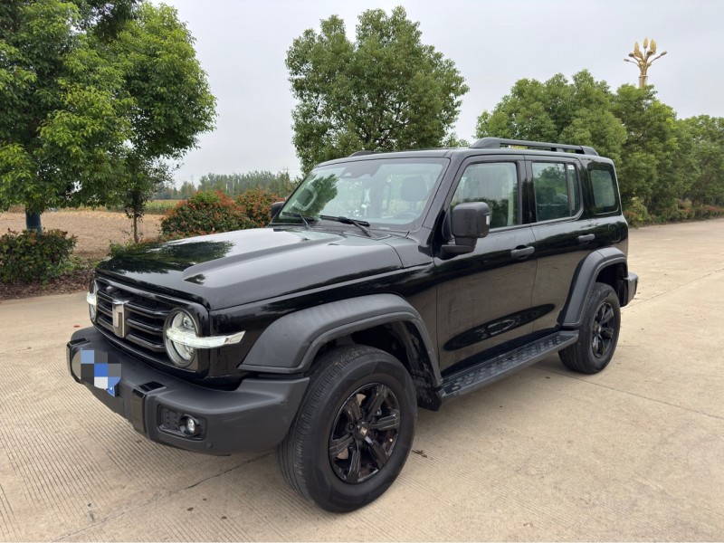 盐城24年长城汽车坦克2