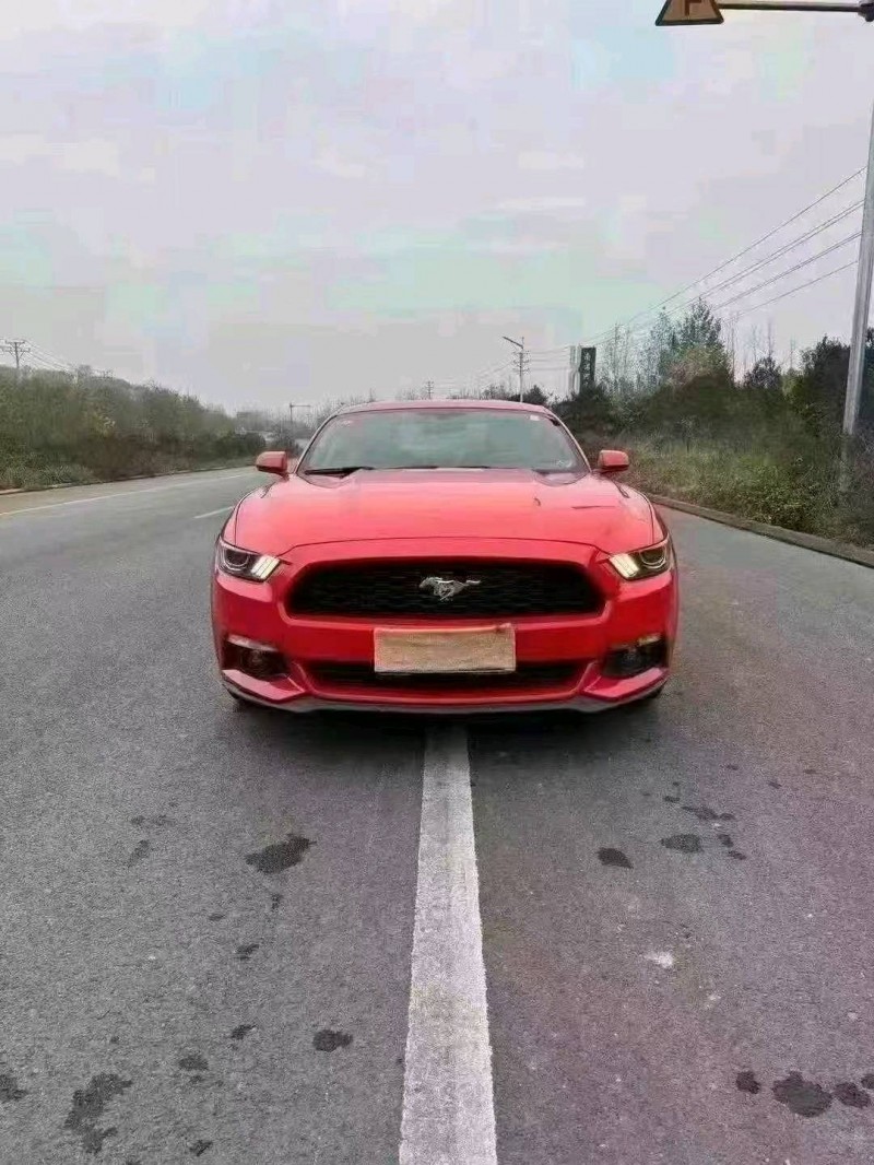 邯郸16年福特野马1